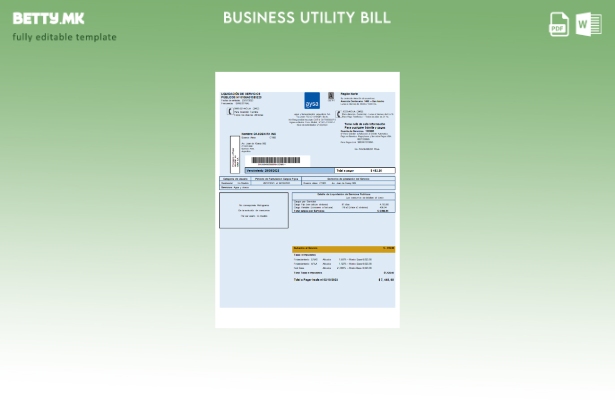 Модерен стил аргентински шаблон за комунални сметки за водоснабдување